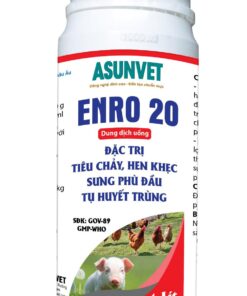 ENRO 20