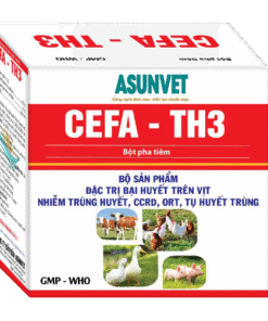 CEFA-TH3