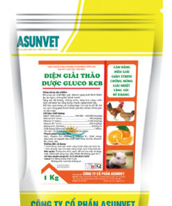 ĐIỆN GIẢI THẢO DƯỢC GLUCO KCB