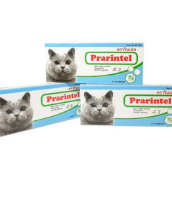 TẨY GIUN MÈO PRARINTEL