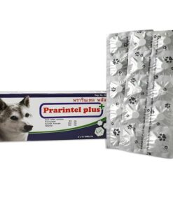 TẨY GIUN CHÓ PRARINTEL