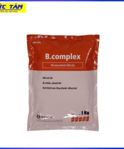 B COMPLEX 1KG TYX