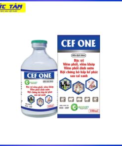 CEF ONE 100ML GOOVET