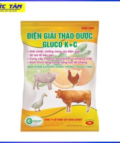 ĐIỆN GIẢI THẢO DƯỢC GLUCO KC 1KG