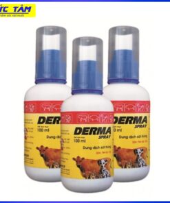 DERMA SPRAY 100ML