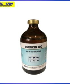 Enrocin 100ml AC