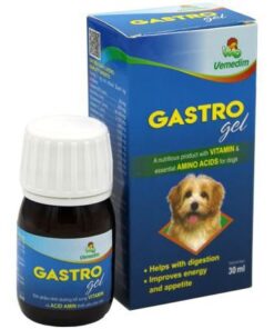 GASTRO GEL