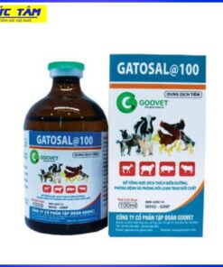 GATOSAL 100ML