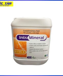 Intra Mineral Se + Vit E 5L can ASI