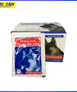 Kháng Sinh Chó Mèo(5g)-Pmv