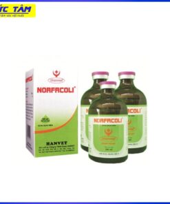 Norfacoli 100ml HANVET