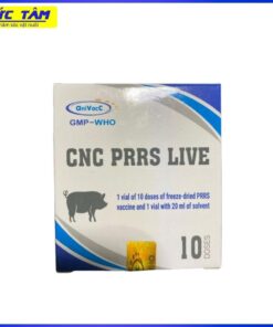 Tai xanh bắc mỹ avac L10