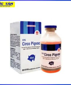 VẮC XIN CIRCO PIGVAC L50 AMV