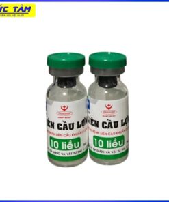 VX Liên Cầu Khuẩn L10