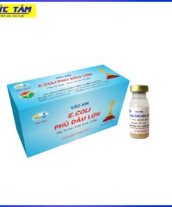 VẮC XIN SƯNG PHÙ ĐẦU