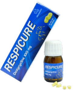 Vemedim Respicure - trị nhiễm khuẩn đường hô hấp trên chó, mèo