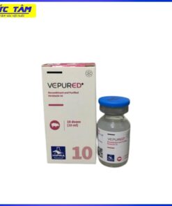 Vx E Coli phù đầu Verotoxin 2e L10 Hipra