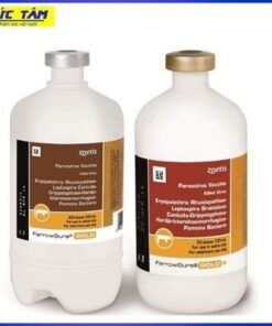 Vx KHÔ THAI L10 ZOETIS