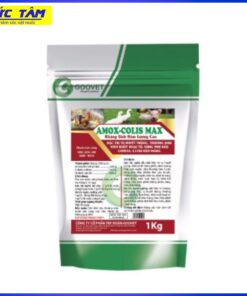 Amoxcolis max 1kg GV