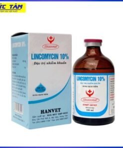 LINCOMYCIN 10%