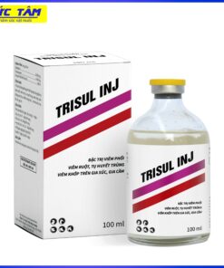 TRISUL INJ 100ML